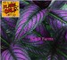 NEW LOW PRICE! 2 Plants- Rare Royal Purple Persian Shield, variegated purple, shade loving, Bermuda conehead, live tropical house plant 