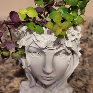 Gift Fairy Goddess concrete head planter cement pot, face planter, for cacti succulent bonsai foliage planter