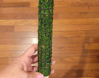 1.5 inch Green Sphagnum Moss Pole: Plant Support with Spike