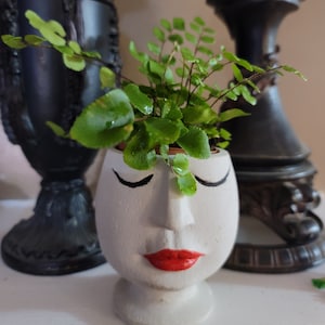 Moai Abstract Face vase Concrete Succulent Planter: Red Lips