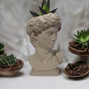David bust planter on a wooden table surrounded by other dishes of cactus and succulents