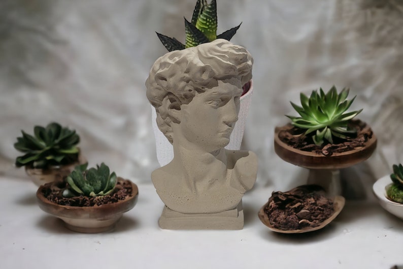 David bust planter on a wooden table surrounded by other dishes of cactus and succulents
