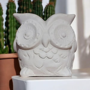 May include: A white ceramic owl figurine with detailed eyes and feathers. The owl is sitting on a white surface.