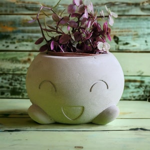May include: A light gray ceramic planter shaped like a smiling face with a plant with purple leaves growing inside.