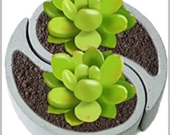 Yin Yang cement planter set for cactus succulent- gift idea easter sale