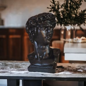 David bust Michelangelo head sculpture statue art vase home office decor concrete planter greek roman classic  gift idea