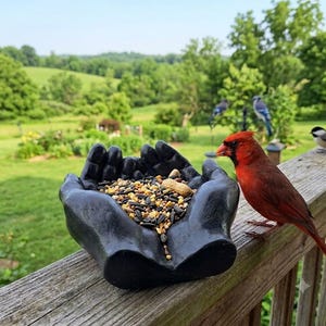 Concrete Crow Feeder: Squirrel Bird Perch, Succulent Planter