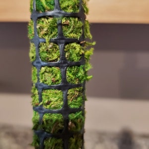 May include: A black mesh cylinder filled with green moss. The moss is packed tightly inside the cylinder, creating a lush and textured look.