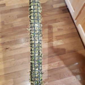 Moss pole -  GREEN SPIKED  natural appearance. Humidifies, plant support hoya, orchid, philo, monstera
