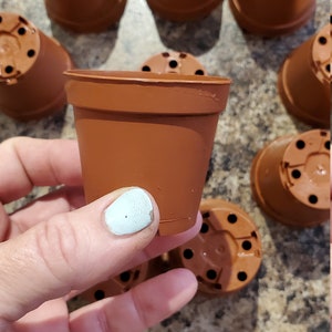 Sturdy 2.25 inch plastic seed pots, cactus, succulent nursery pot, flexible cuttings small plants, craft making, rooting sale
