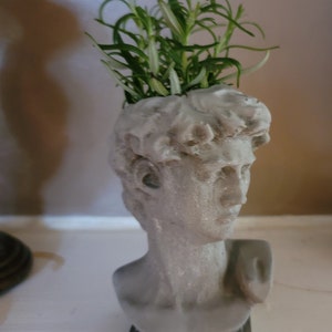 David bust planter with a small plant inside, on a white surface, white background.
