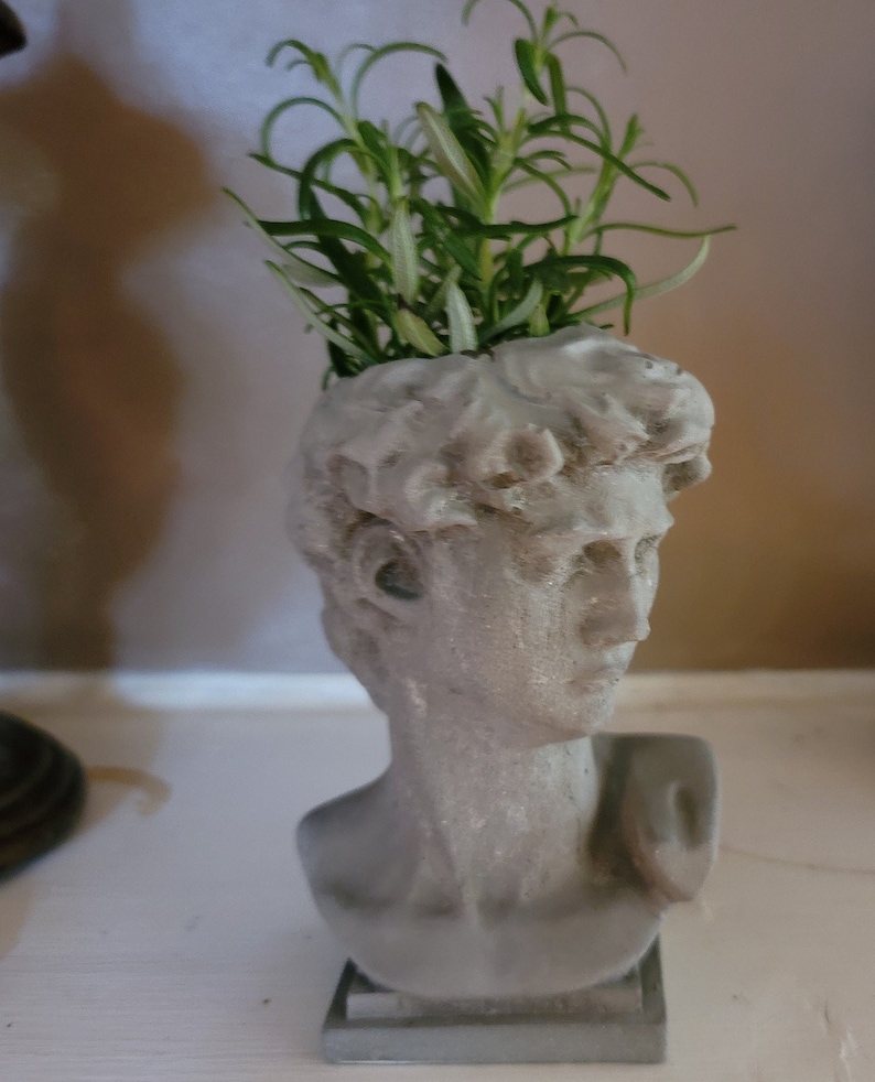 David bust planter with a small plant inside, on a white surface, white background.