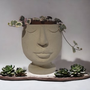 Gift Head succulent pot Abstract Art Moai face planter vase statue w/ red lips, concrete pot, cacti planter pencil brush holder