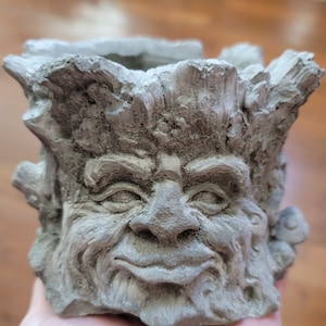 Old Man Tree Face Planter: Handmade Concrete Succulent Pot