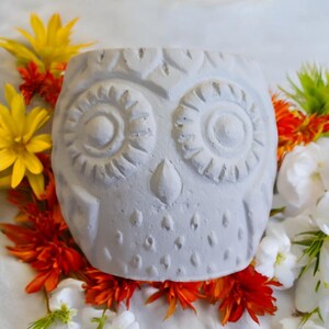 May include: A white ceramic owl planter with a textured surface and large, round eyes. The owl planter is surrounded by flowers.