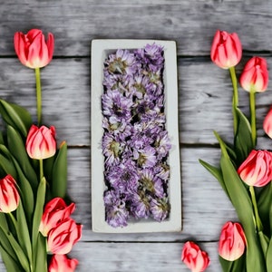 Handmade Rectangle Concrete Planter: Succulent & Cactus Garden Decor