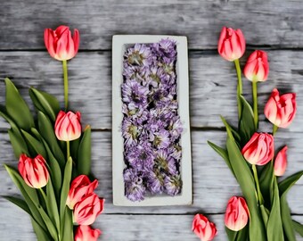 Handmade Rectangle Concrete Planter: Succulent & Cactus Garden Decor