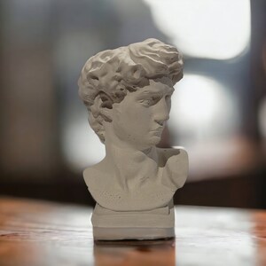 David bust planter on a wooden surface, indoor setting