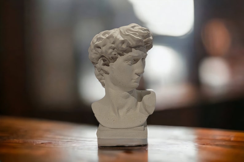 David bust planter on a wooden surface, indoor setting