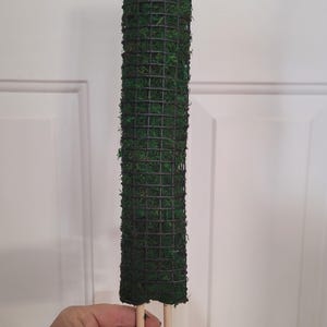 Small Flat Green Moss Plank: Plant Support for Climbing Vines