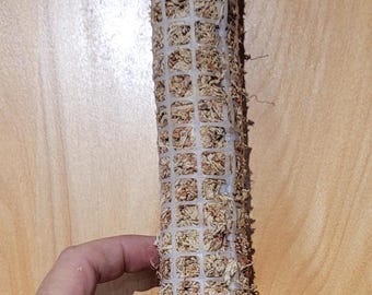 White Moss Pole – 1.5" wide plant vine support