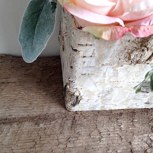 Two sizes, Birch bark planter, rustic decor, birch container, wedding centerpiece, bark vase, wedding table, white birch, table decor image 6