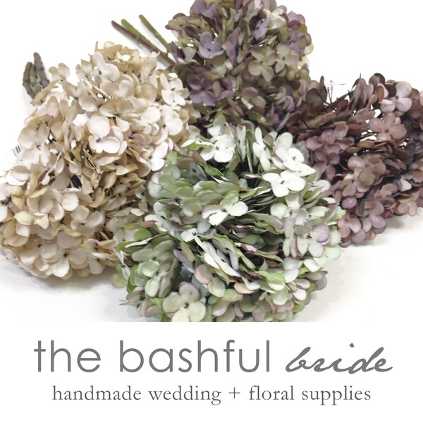 Dried Hydrangeas Etsy