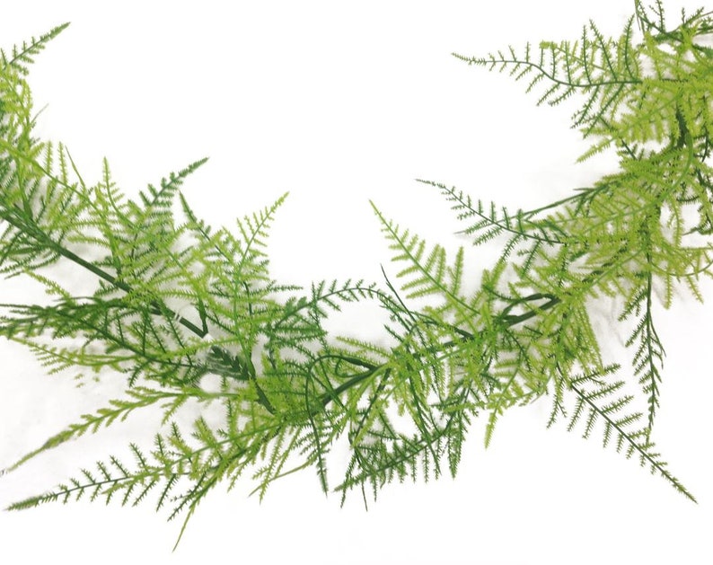 Fern Garland Greenery Garland Greenery Wedding Asparagus Etsy