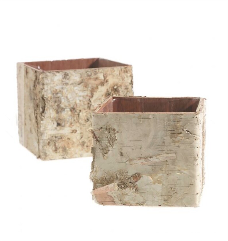 Two sizes, Birch bark planter, rustic decor, birch container, wedding centerpiece, bark vase, wedding table, white birch, table decor image 9