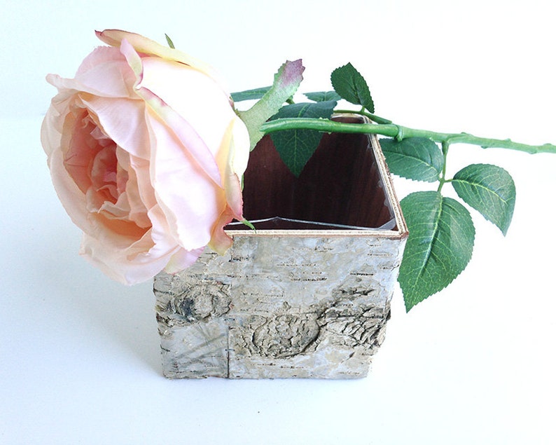 Two sizes, Birch bark planter, rustic decor, birch container, wedding centerpiece, bark vase, wedding table, white birch, table decor image 7