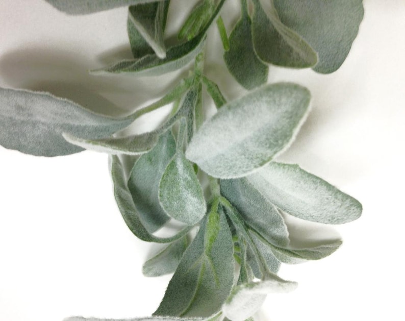 6' Lamb's Ear Garland Sage Silver Sage Dusty Etsy