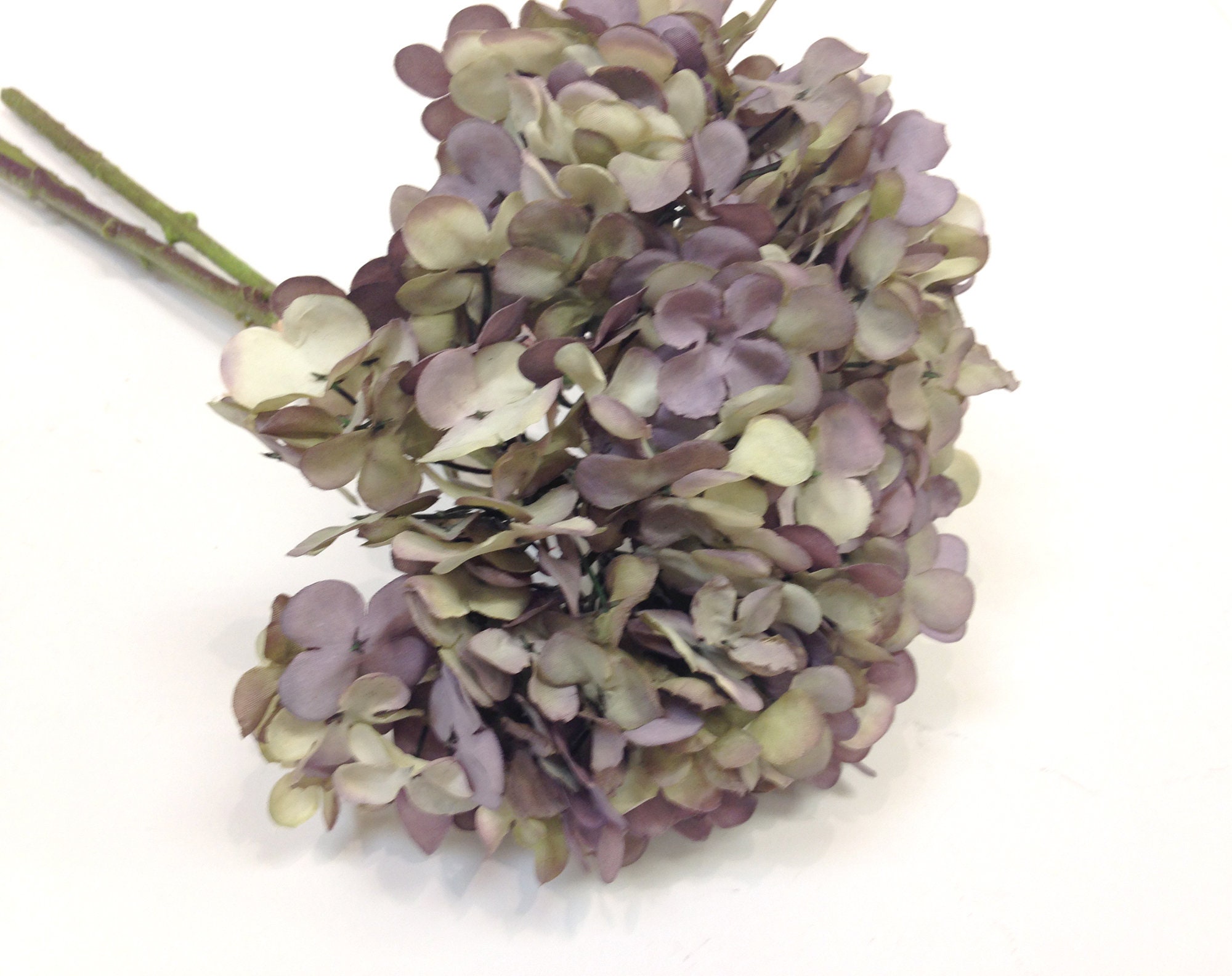 Dried Hydrangeas – FlowerFantaSee