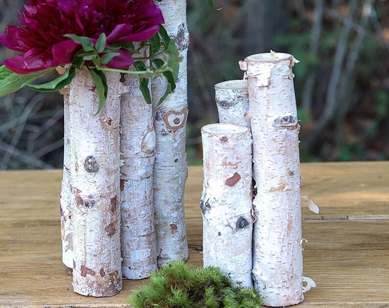 2 Sizes Birch Bud Vase Centerpiece Birch Log Decor Birch Etsy