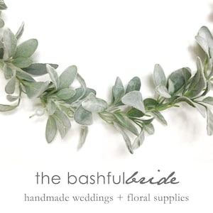 May include: A garland of dusty miller greenery, a type of foliage, with a white background. The text "the bashful bride" is written in cursive below the garland. The text "handmade weddings + floral supplies" is written below the cursive text.