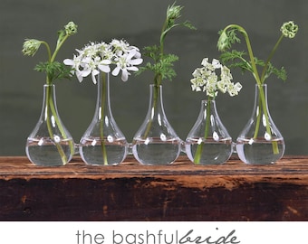 Glass Cluster Vase, set of 5 in the cluster: Floral Centerpiece Collection