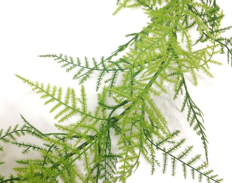 Fern Garland Greenery Garland Greenery Wedding Asparagus Etsy
