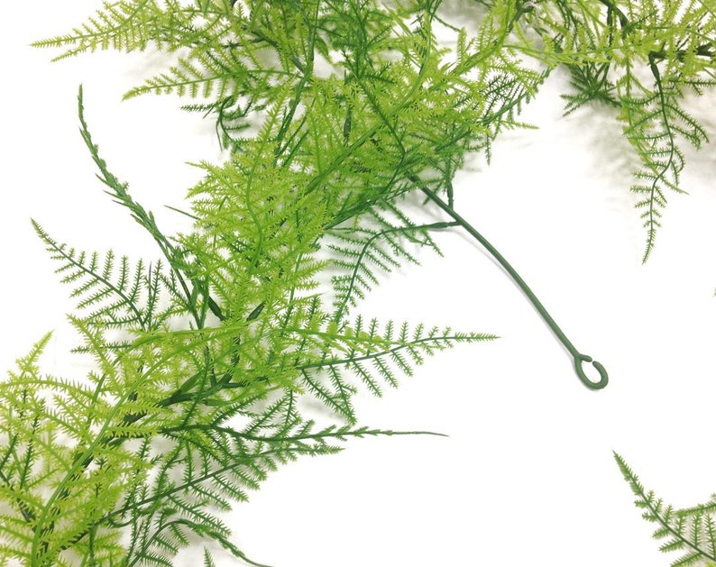 Fern Garland Greenery Garland Greenery Wedding Asparagus Etsy