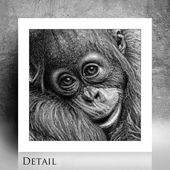 Nouvelle Orang Outan Mere Et Bebe La Faune Impression Photo Etsy Nouvelle Orang Outan Mere Et Bebe La Faune Impression Photo Etsy