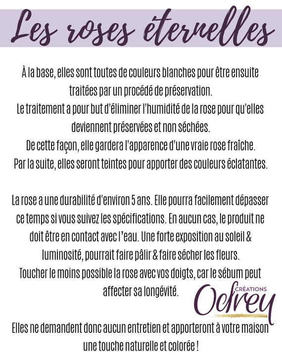 Bord De Mer Arrangement Floral Non Assemblé Rose éternelle Fleur Préservée Vase Décoratif éléments De La Nature