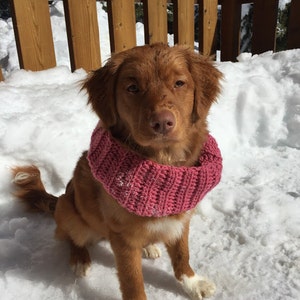 Infinity Scarf / Pet / Crochet