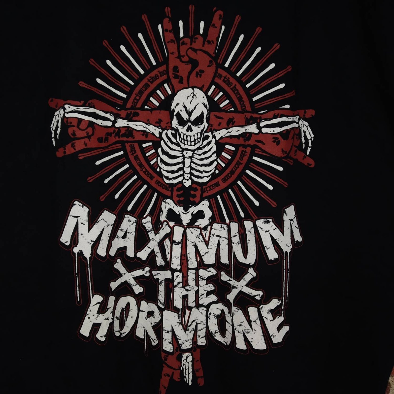 Rare Maximum the Hormone Heavy Metal Band Japan Promo Music - Etsy