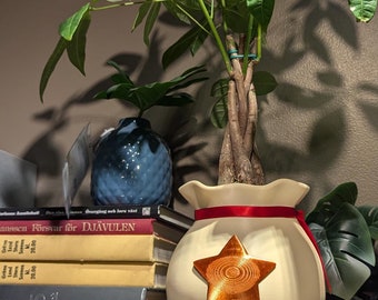 Lucky Money Bag Planter