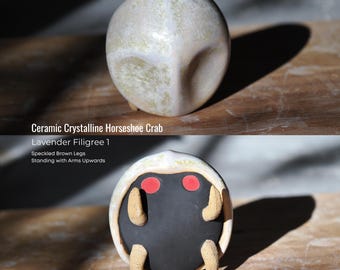 Cangrejo herradura de cerámica cristalina