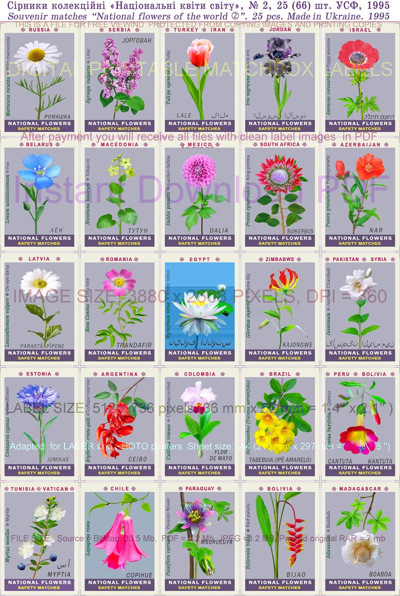 Flowers National Symbols 3 Digital Collages 65 Ukrainian Etsy