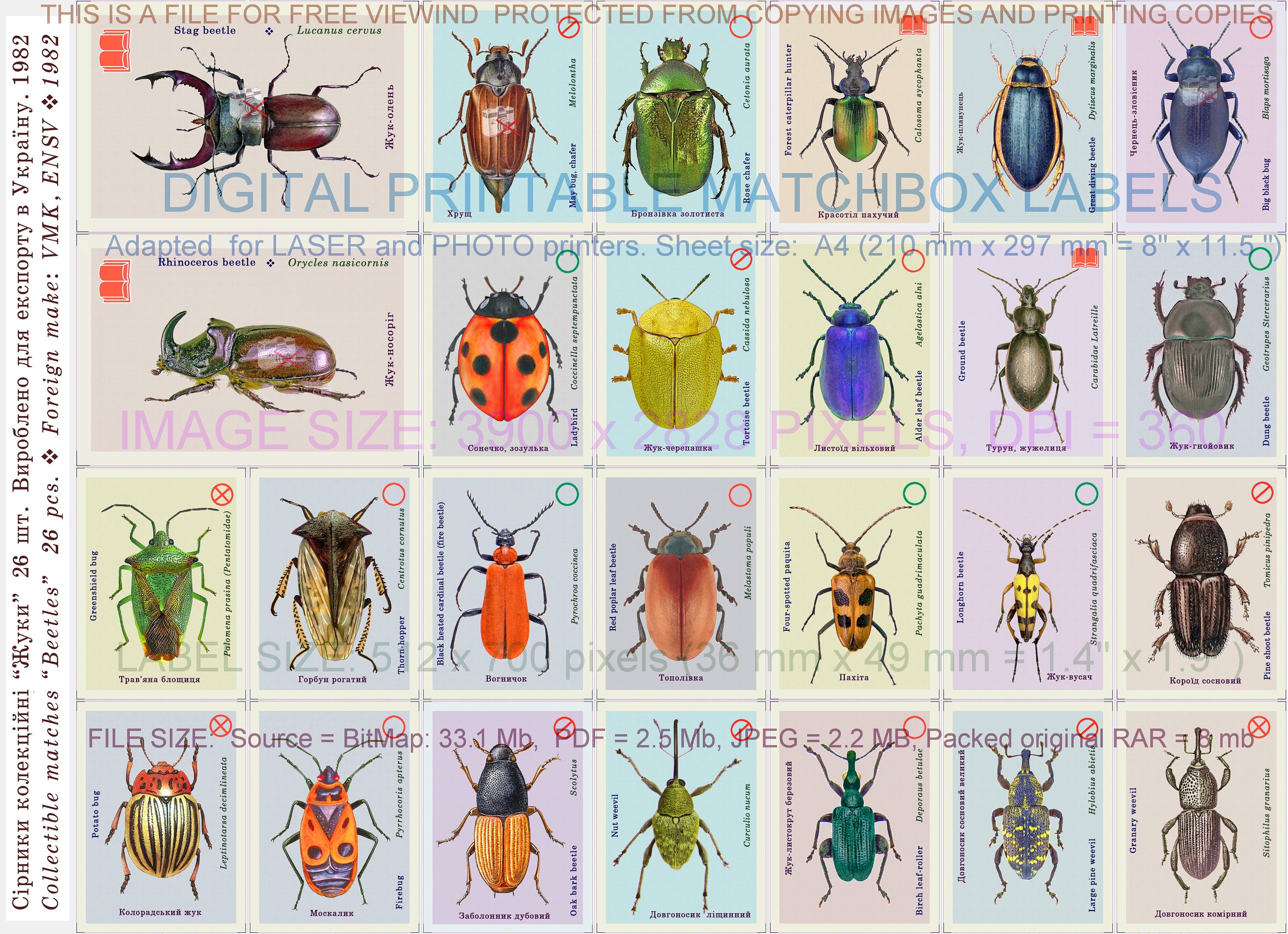 downloadable images stickers pack scrapbook paper,stickers vintage beetles bugs clip art,Insect leaf cliparts PNG