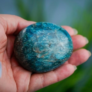 Large Apatite Palm Stone image 1