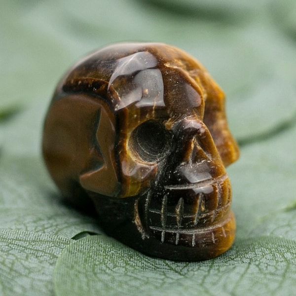Tiger Eye Skull Etsy