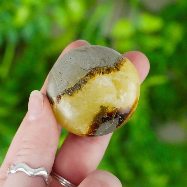 Septarian Pocket Stone