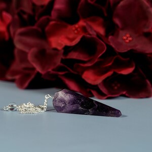 May include: A purple amethyst pendulum with a silver chain hanging against a backdrop of red flower petals.
