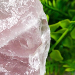 Jumbo Raw Rose Quartz Crystal image 5